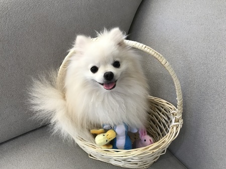 Kiki 