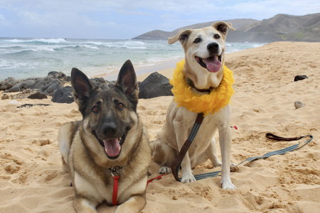 Sandy and Prairie