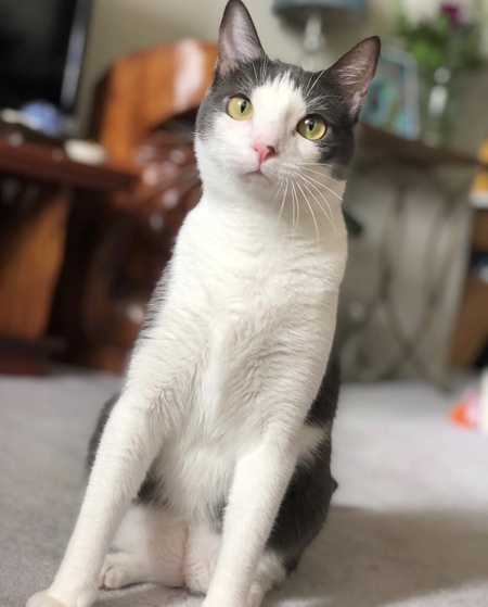 Tucker