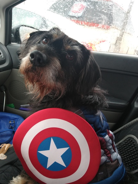 Moses as Captian America!