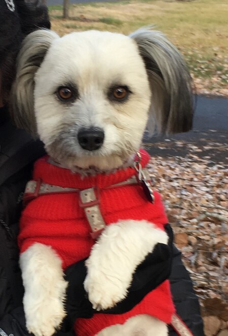 Bailey