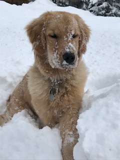 JAKE
