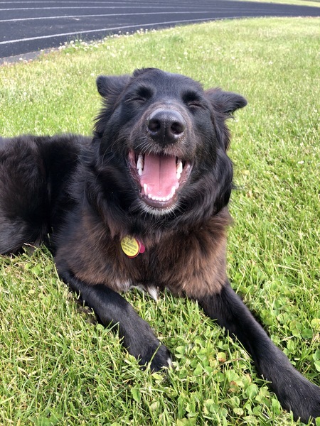 Murphy