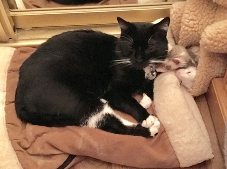 GusGus 