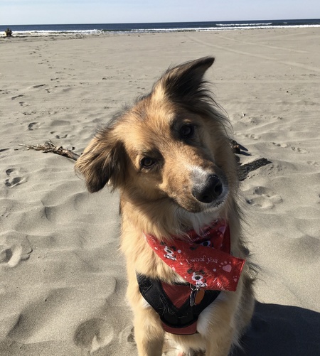 Charley 