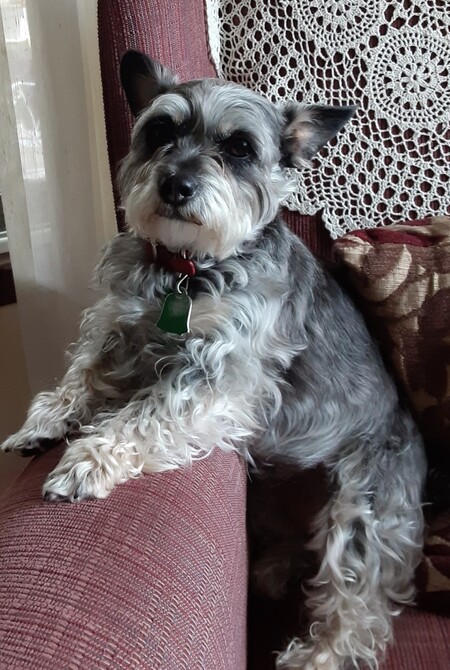 Sophie