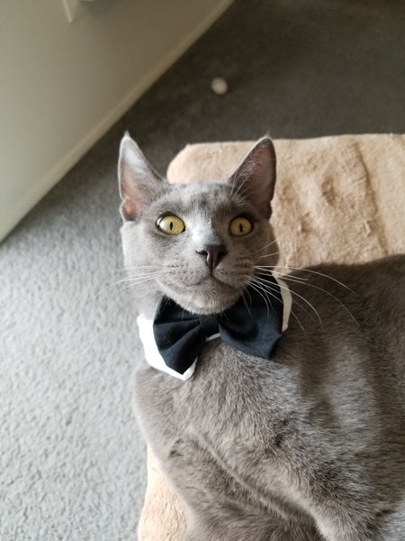 Smokey