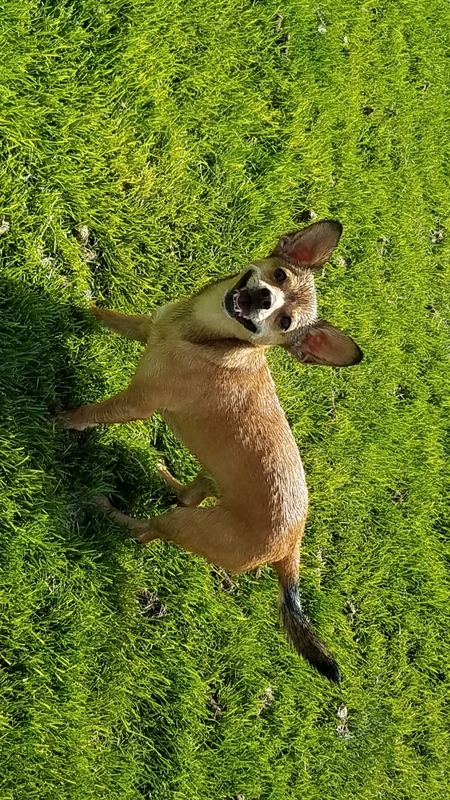Tinker