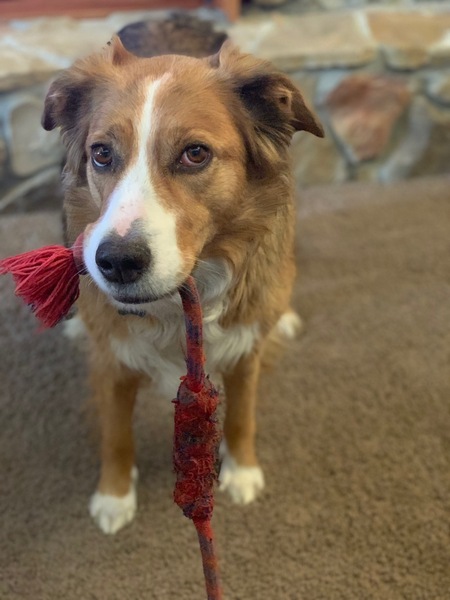 Precious Penny