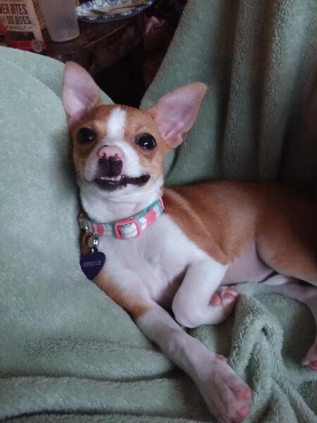 Sophie 