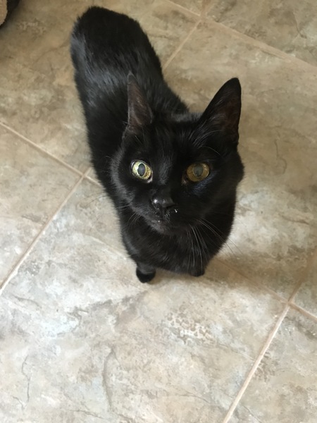 Tobby