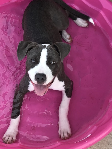 Mellie