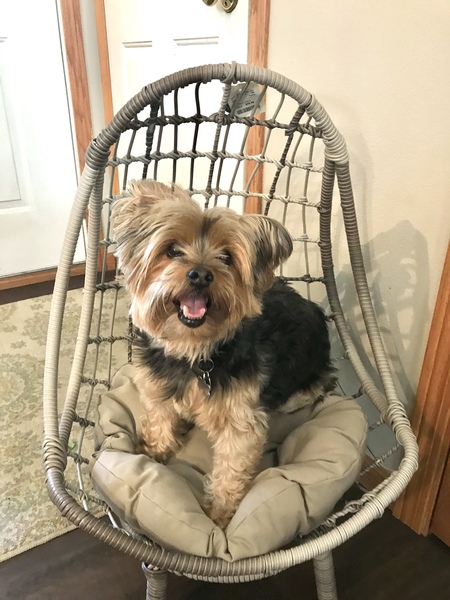 Stella Mae