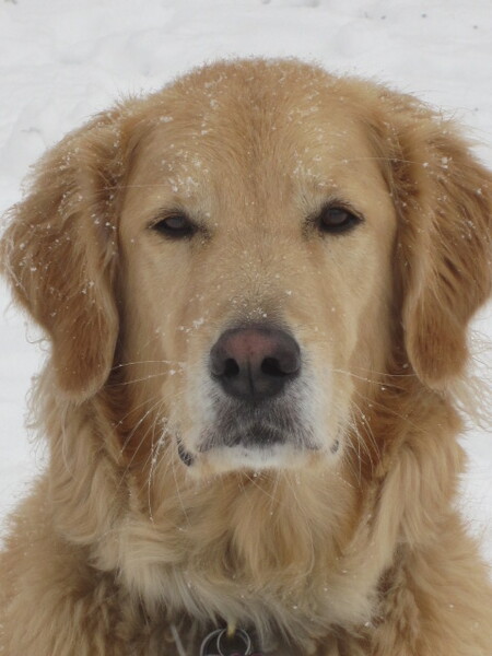 Remington