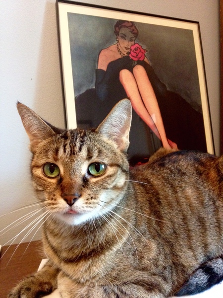 Delia