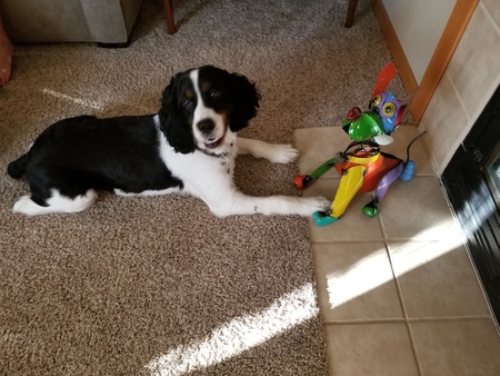 TOBY