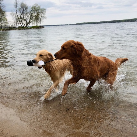 Forest & Waylon