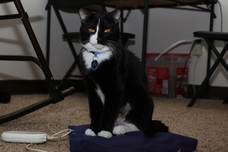 Frank