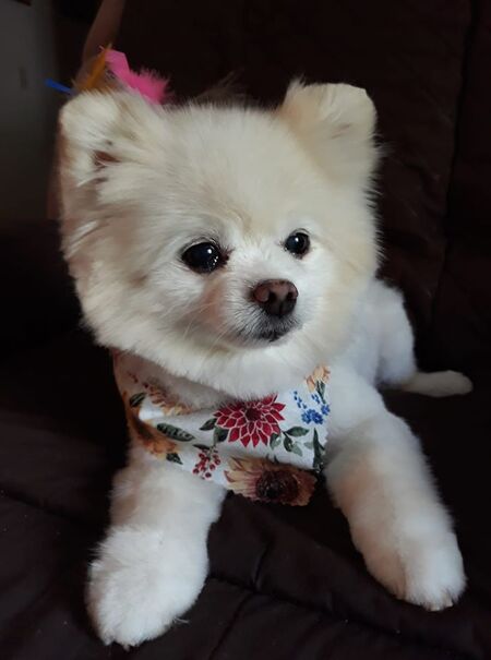 Tilly