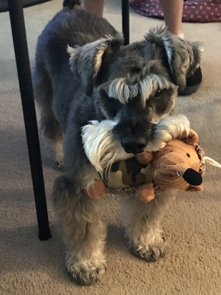 Max