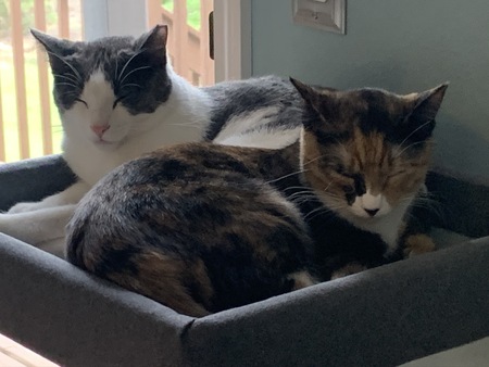 Mae and Aspen