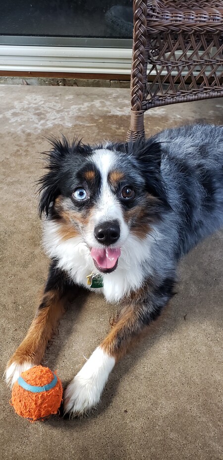 Cooper