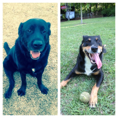 Otis and Charlie