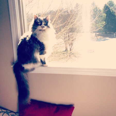 Prince