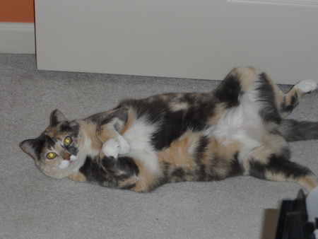 Thelma