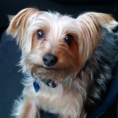 Charlie "Charleston" Jeanneret 