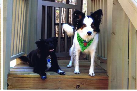 Allie-Bama & Princess Piper