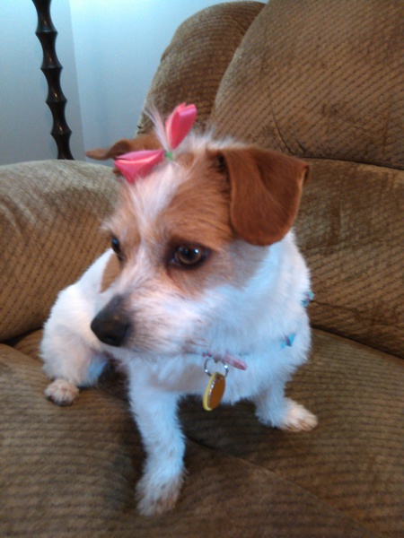 Princess