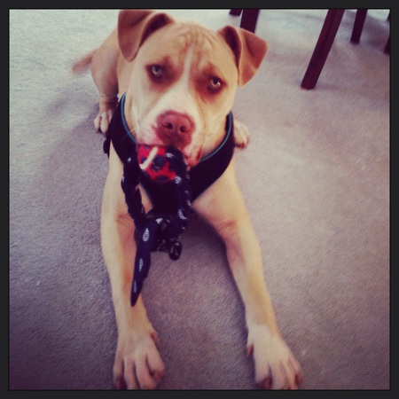 Tucker