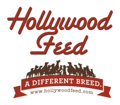 Hollywood Feed 