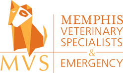 Memphis Veterinary Specialists 