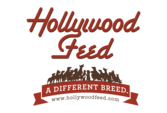 Hollywood Feed 