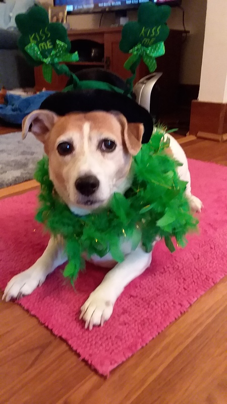 Miss Lexie 