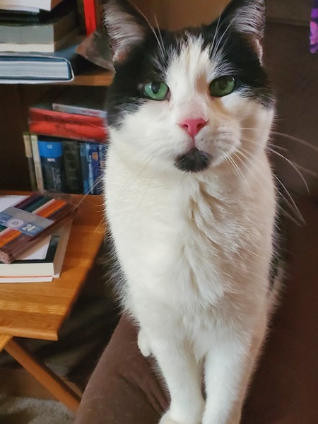 Stinky 