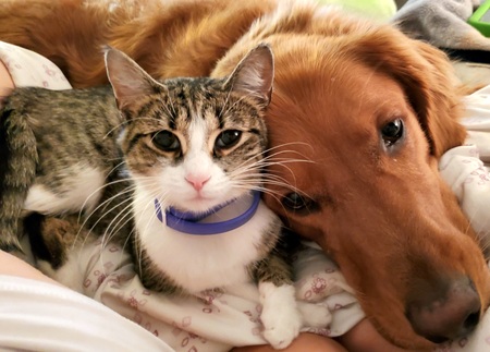 Chevy & Rosie