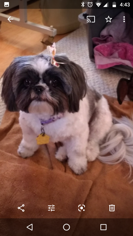 Minnie