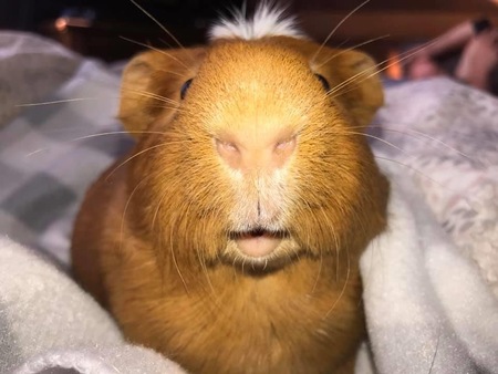 Ben