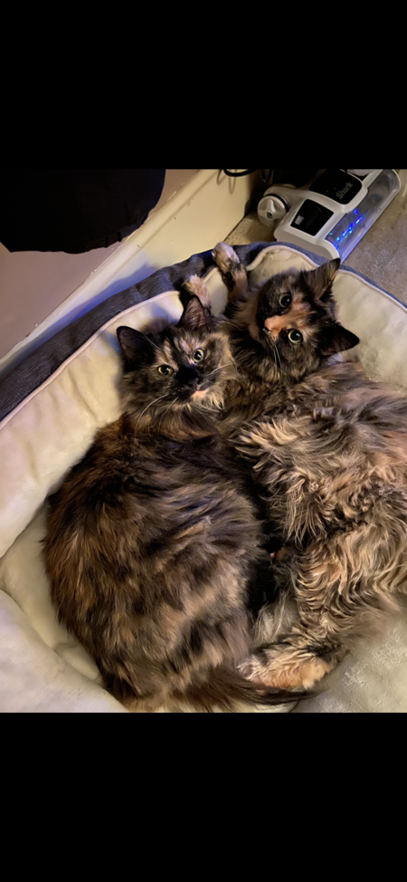 Maggie and Luna