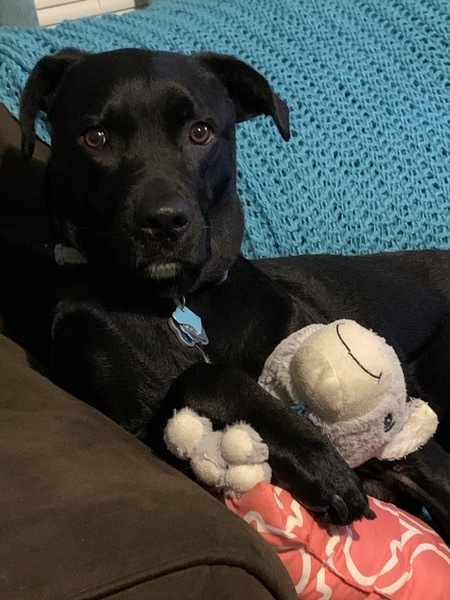 Simon