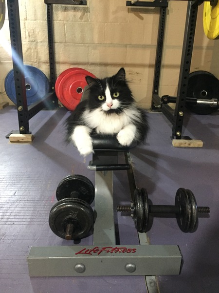 Tux
