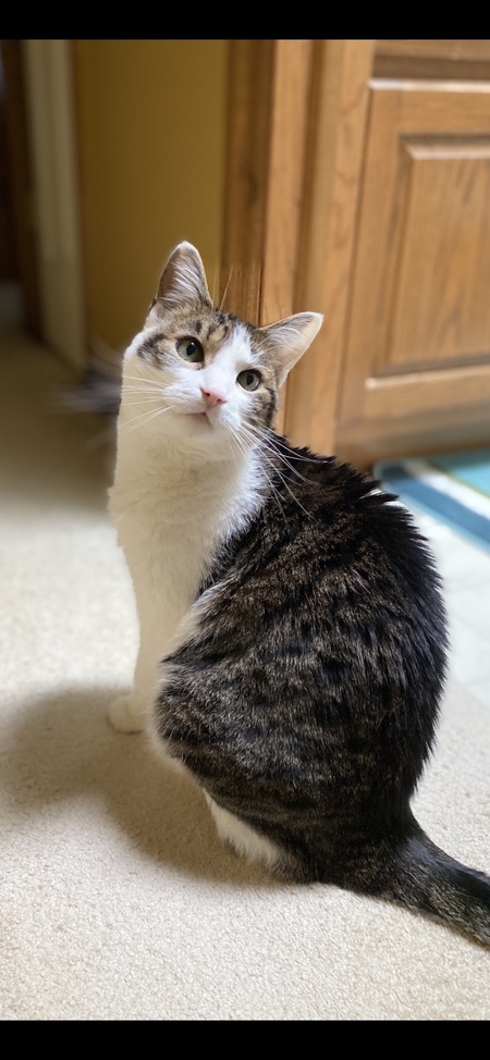 Chloe