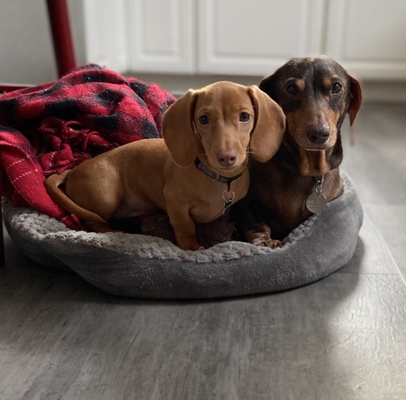 Precious and Bailey