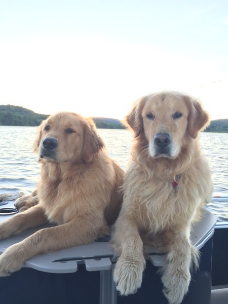 Ruger & Caliber