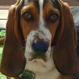 Entry image for Walter