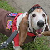 Entry image for Walter