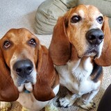 Entry image for Parker and Eli